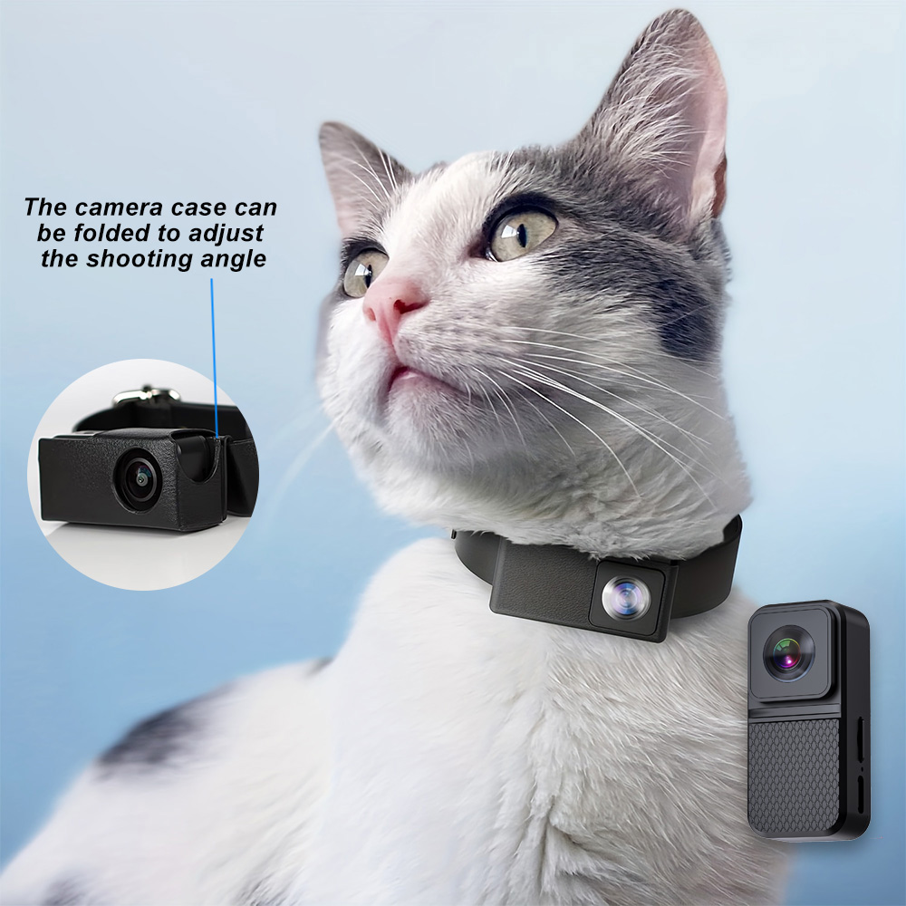 HD 1080P Pet Cameras Outdoors  - Home Cinema Hd ulasan dan harga